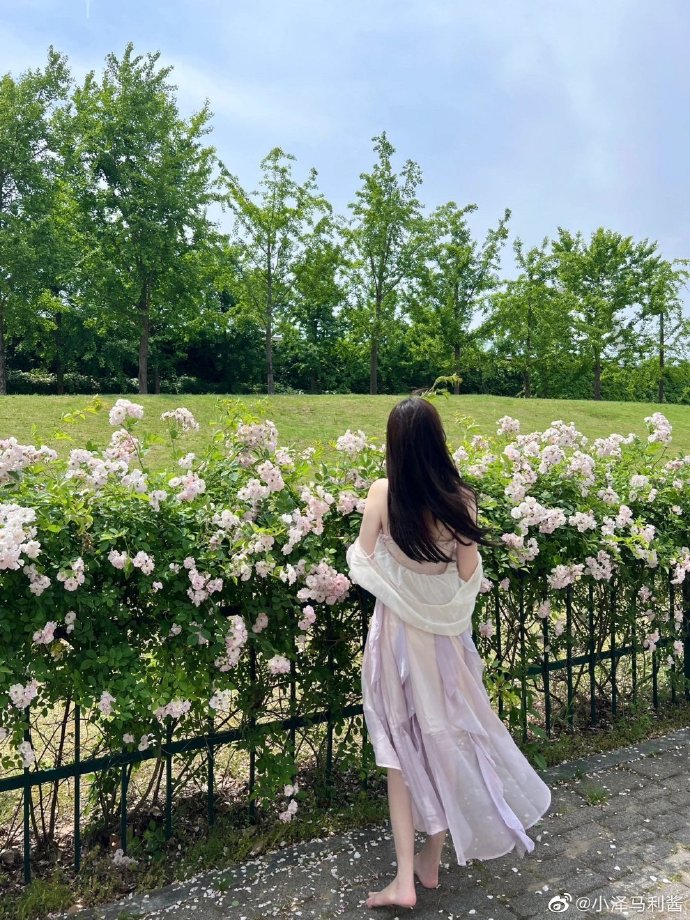 完美的日子 封面