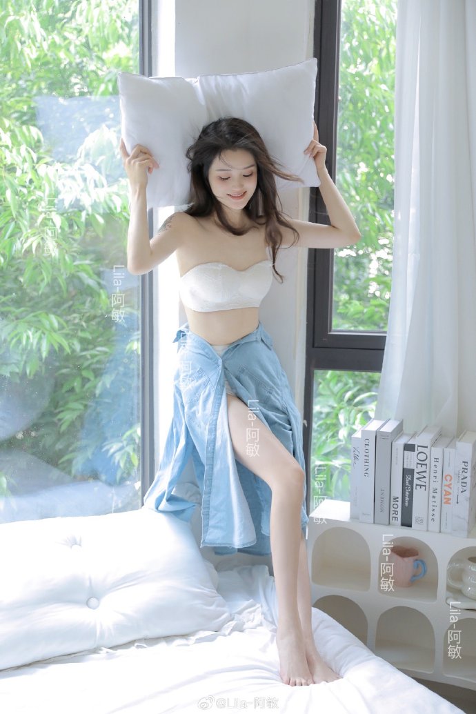 风骚律师